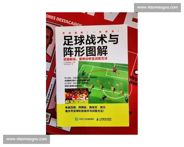 全球足球赛事最新动态，深度解析球队战术与球员表现